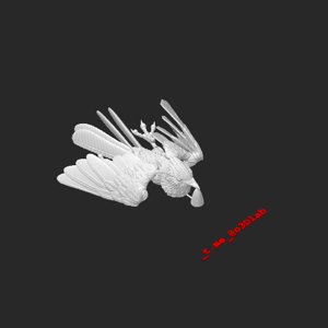 extracted_plate_1.png