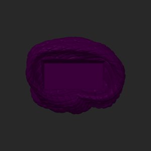 extracted_top_3.png