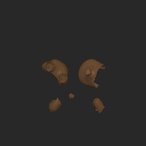 extracted_top_1.png