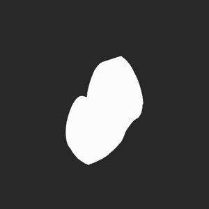 extracted_plate_no_light_6.png