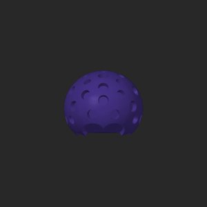 extracted_top_1.png