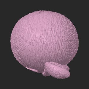 extracted_top_2.png
