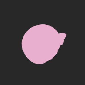 extracted_plate_no_light_2.png