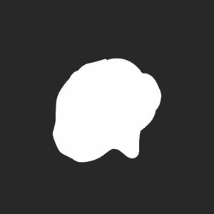 extracted_plate_no_light_2.png