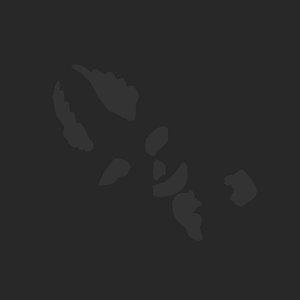 extracted_plate_no_light_3.png