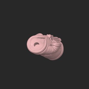 extracted_plate_1.png