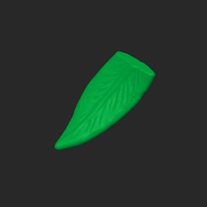 extracted_plate_6.png