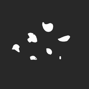 extracted_plate_no_light_2.png
