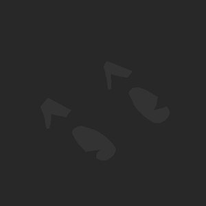 extracted_plate_no_light_2.png