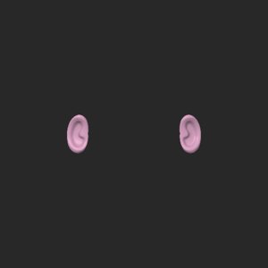 extracted_top_8.png