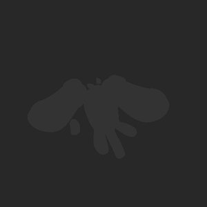extracted_plate_no_light_2.png