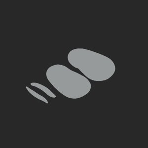 extracted_plate_no_light_5.png