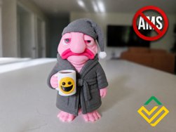 extracted_thumbnail_small.png