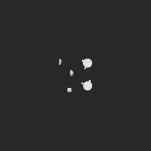 extracted_top_2.png