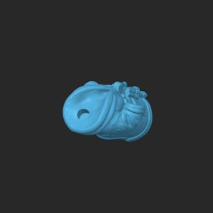 extracted_plate_4.png