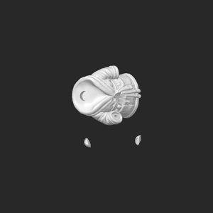 extracted_top_7.png