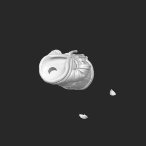 extracted_plate_7.png