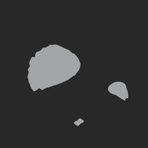 extracted_plate_no_light_1.png
