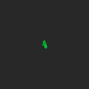 extracted_top_4.png
