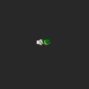 extracted_top_2.png