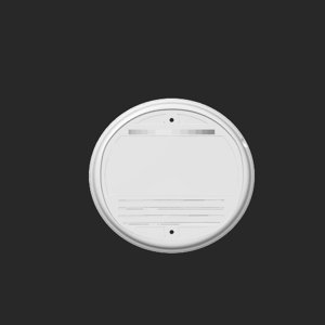 extracted_top_2.png