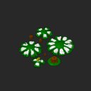 extracted_plate_6_small.png