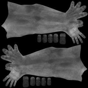 extracted_MR_BC_Arms_R.jpg