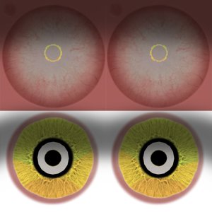 extracted_MR_BC_Eyes_YellowD.png