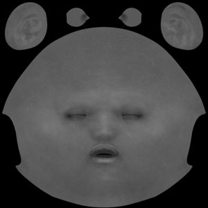 extracted_MR_BC_Head_B.jpg