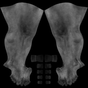 extracted_MR_BC_Legs_R.jpg