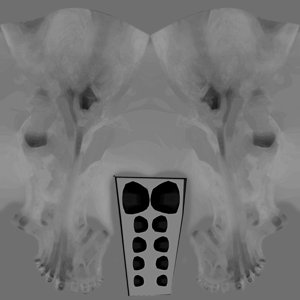 extracted_MR_BC_Legs_S00_metallic.jpg