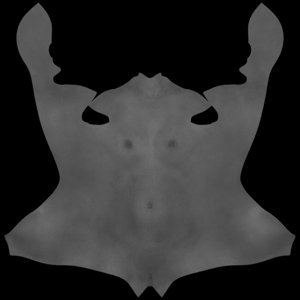 extracted_MR_BC_Torso_B.jpg