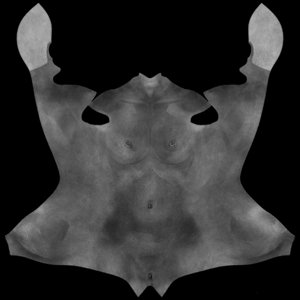 extracted_MR_BC_Torso_R.jpg