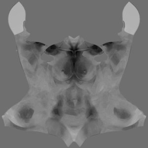 extracted_MR_BC_Torso_S00_metallic.jpg