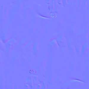 extracted_BC_Body_02_N.png.png