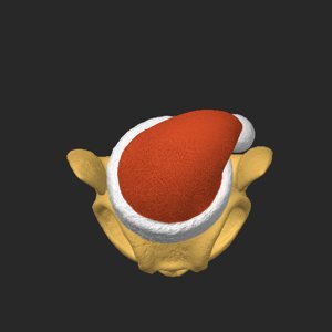 extracted_top_1_2.png
