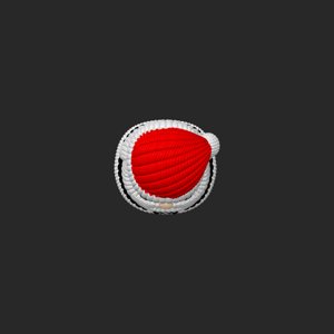 extracted_top_1.png
