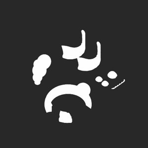 extracted_plate_no_light_2.png