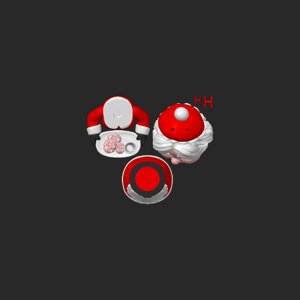 extracted_top_1.png
