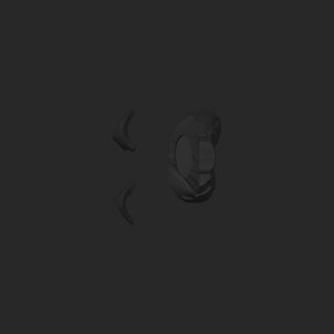 extracted_top_1.png