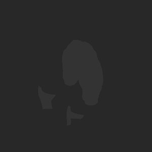 extracted_plate_no_light_1.png