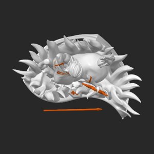 extracted_top_1.png