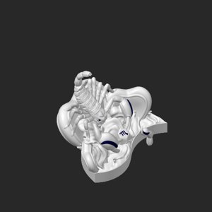 extracted_plate_1.png