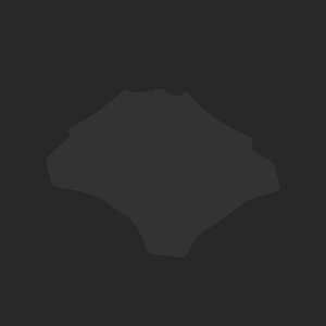 extracted_plate_no_light_2.png