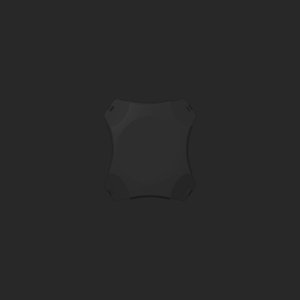 extracted_top_2.png