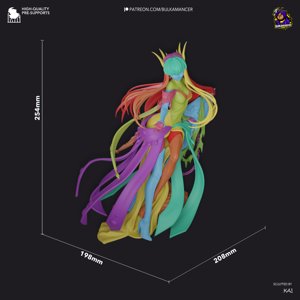 extracted_CC_Dimensions.jpg