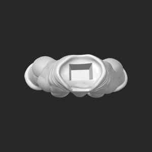 extracted_top_4.png