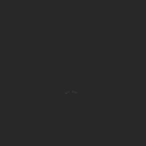 extracted_top_10.png