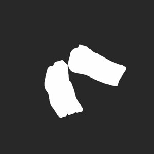 extracted_plate_no_light_2.png