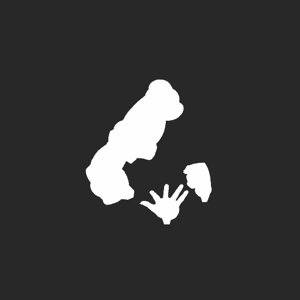 extracted_plate_no_light_5.png